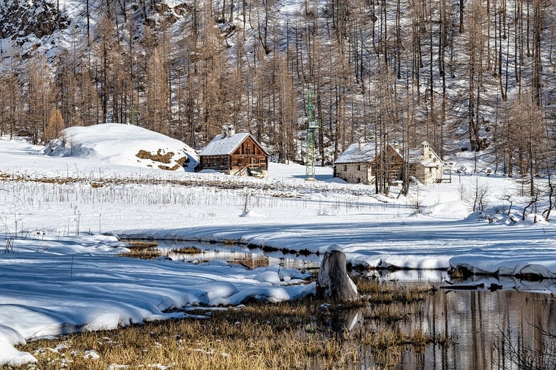 Remote Cabin